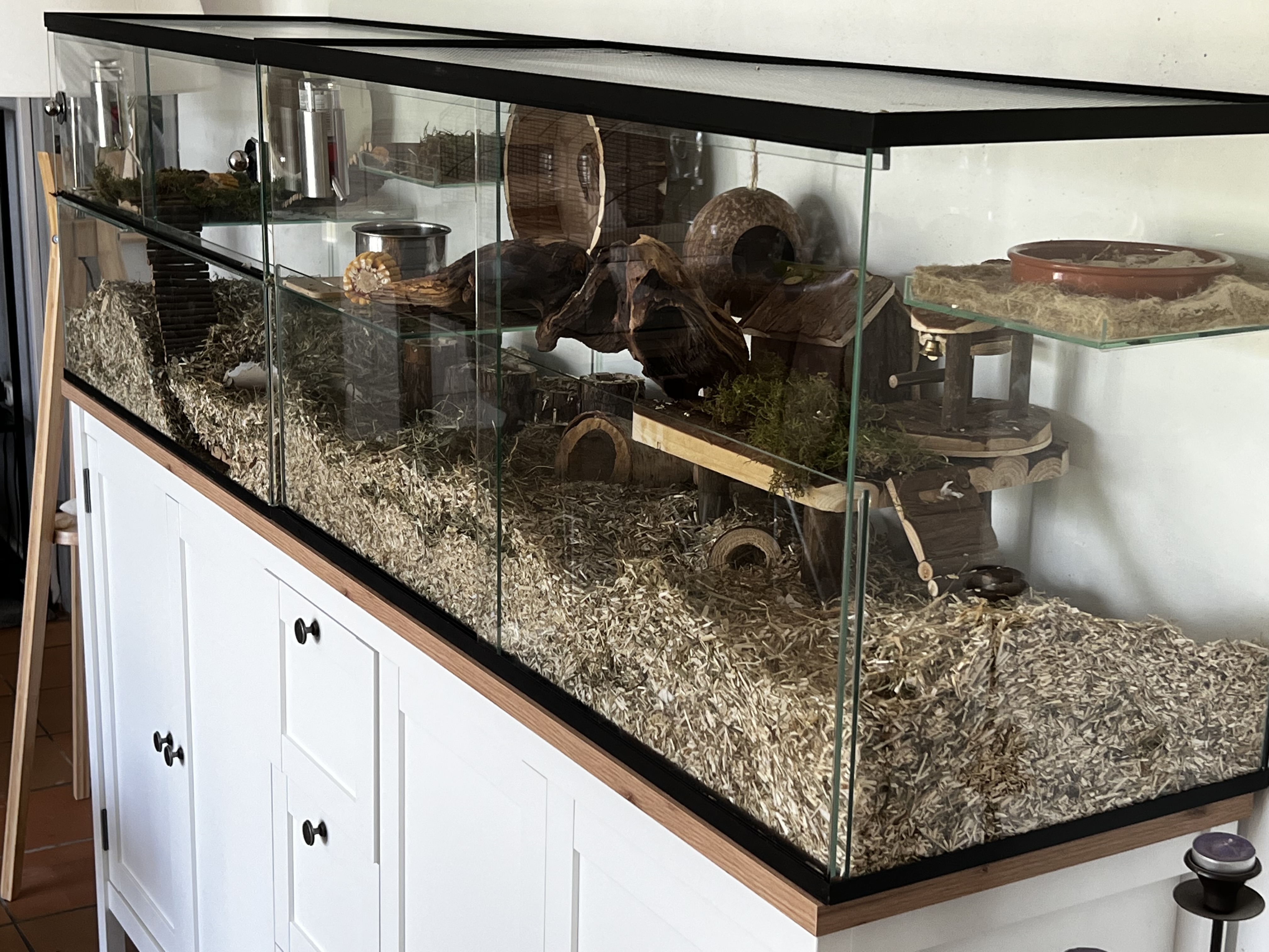 Gerbilarium 100x40x50 - knaagdierkooien voor gerbils en hamsters